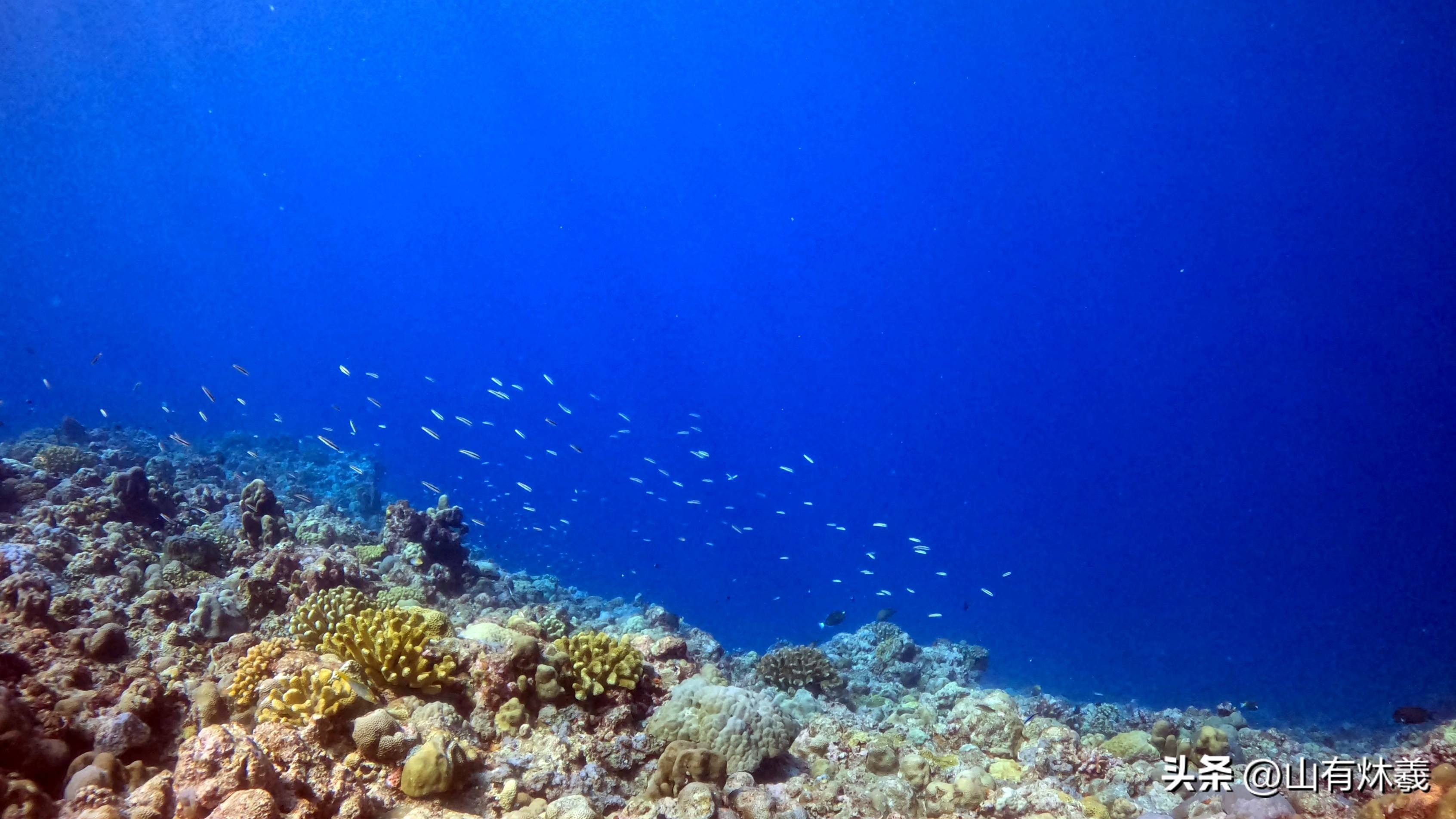 黄岩岛保护区正式批复,南海在无菲律宾利立足之地