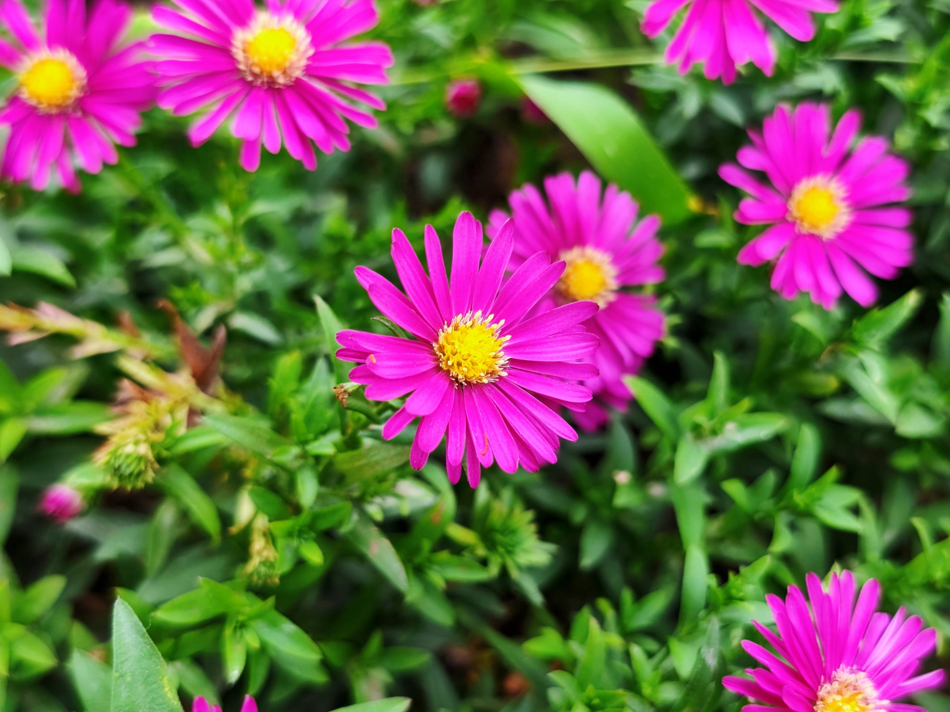 三百块,装下整个青春?松典DC218:从此,你的青春有图有真相!