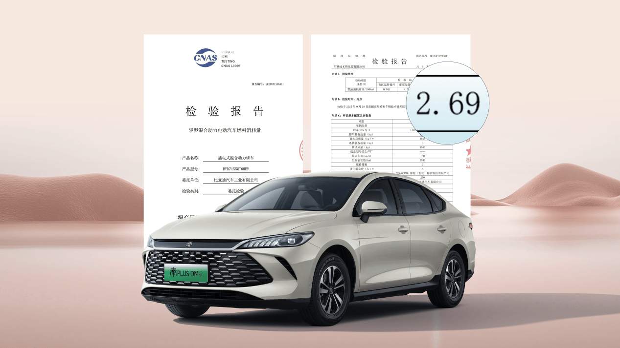 秦PLUS EV加推进取型8.98万元起，新增怀挡、星河米车色