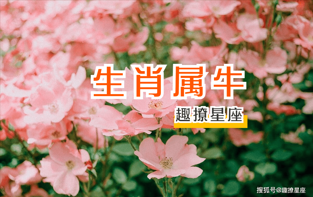 11月22日运势最佳生肖(11月22日运势最佳生肖是什么)