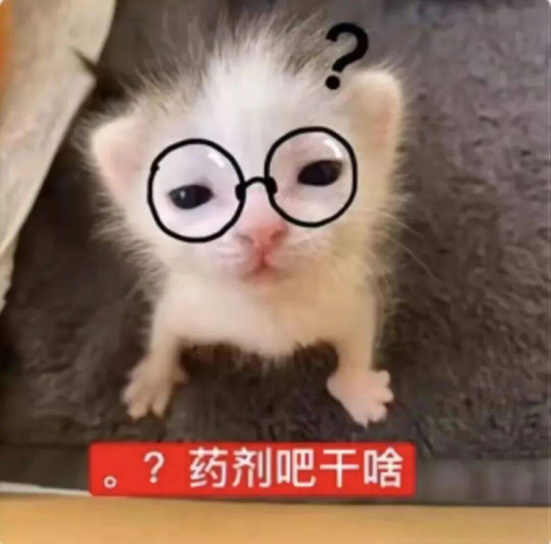 低脂红字小猫抽象表情包&loopy抽象动态表情包&奇思妙想聪明小羊表情