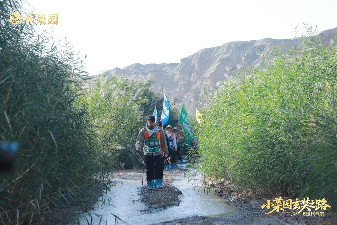 荣耀凯旋 | 小菜园玄奘之旅戈壁挑战赛圆满收官！