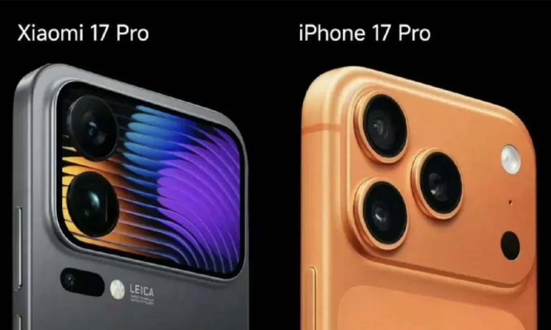 17��17��С��VSƻ����