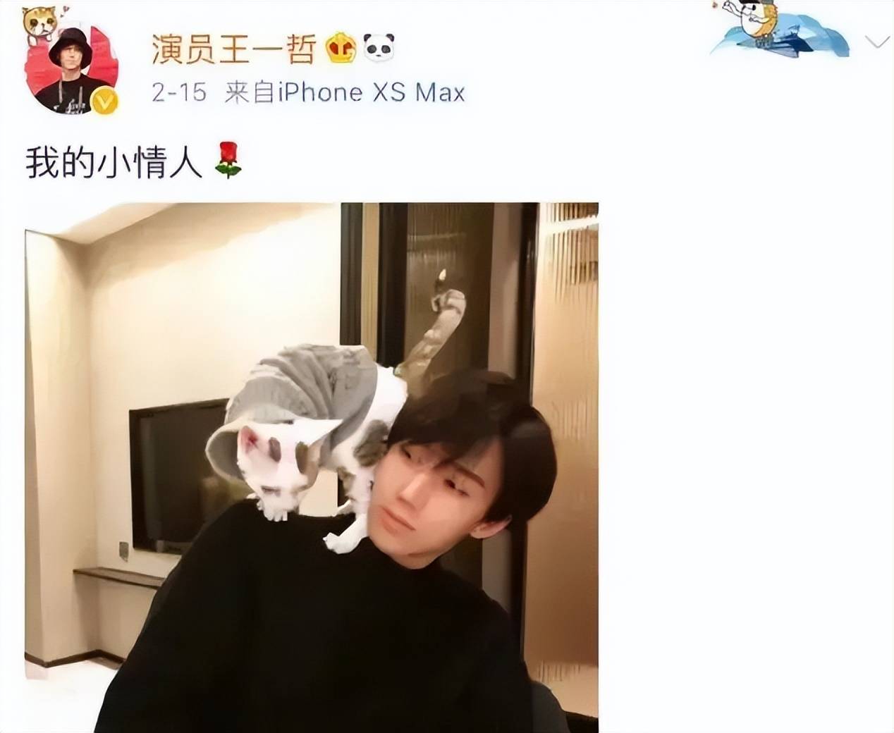 两人在私下吃饭时毫不避讳,白鹿甚至大胆地将手搭在王一哲肩上,动作