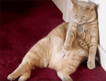 搞笑GIF：姑娘，你在这39°的天气穿裙子骑共享电动车，会不会有点？