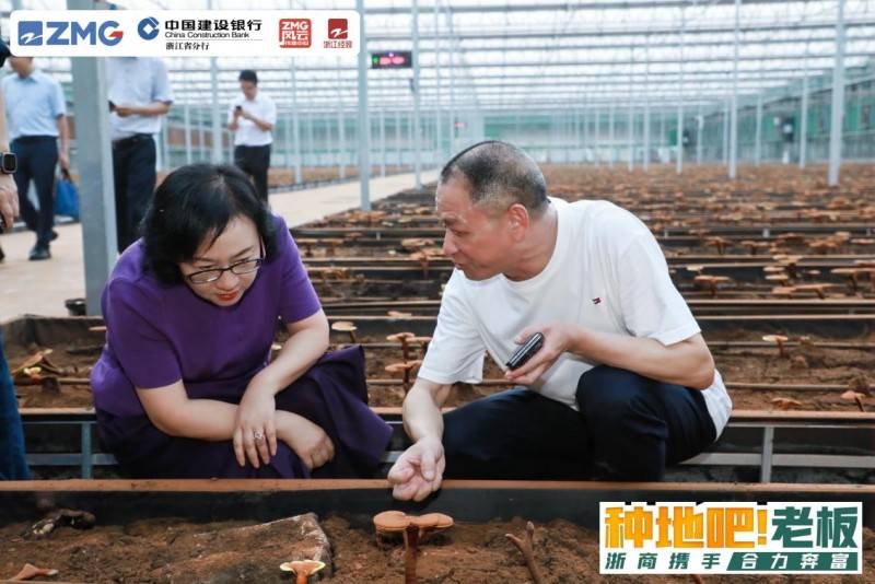 浙商集结，“种地吧！老板”开启区域联动新主线任务！