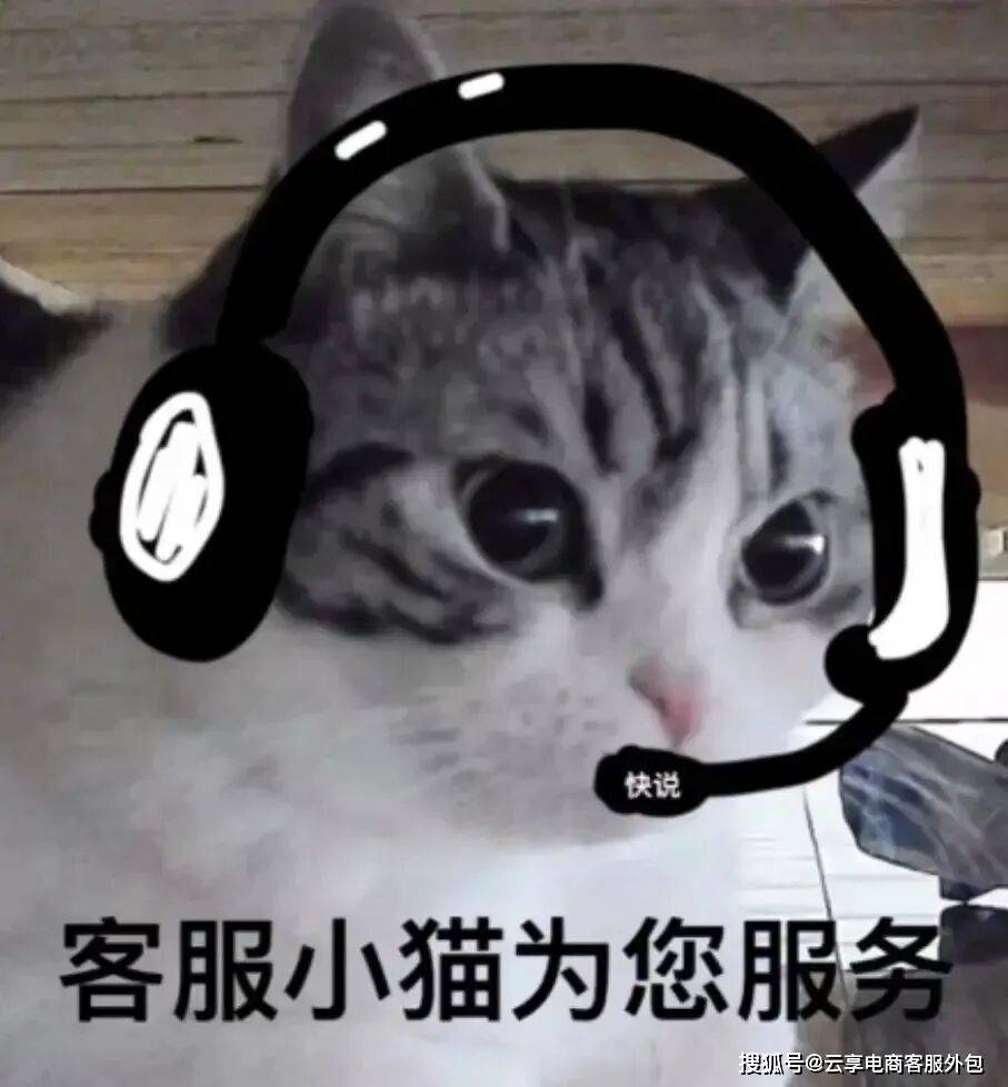 当"ai客服"遇上"人类倔强":电商客服真的会被取代吗?