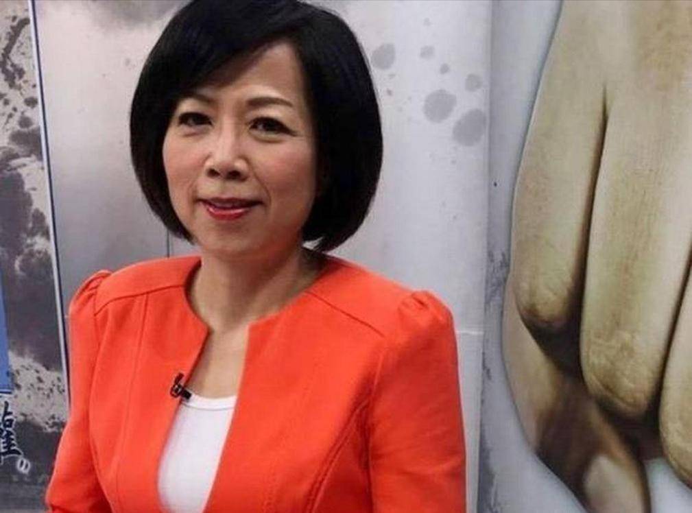 黄智贤曾公开说:我是中国的台湾人,结果回台3天后节目就被下架