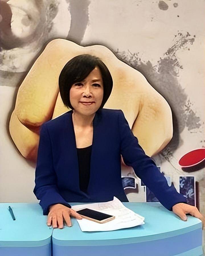 黄智贤曾公开说:我是中国的台湾人,结果回台3天后节目就被下架