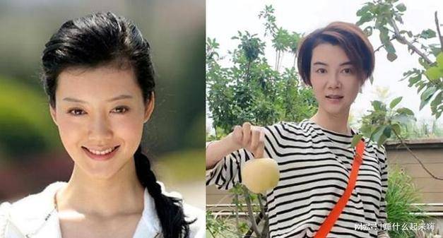 离婚12年,再看"独居"大别墅的车晓,娱乐圈的残酷"应验"了!