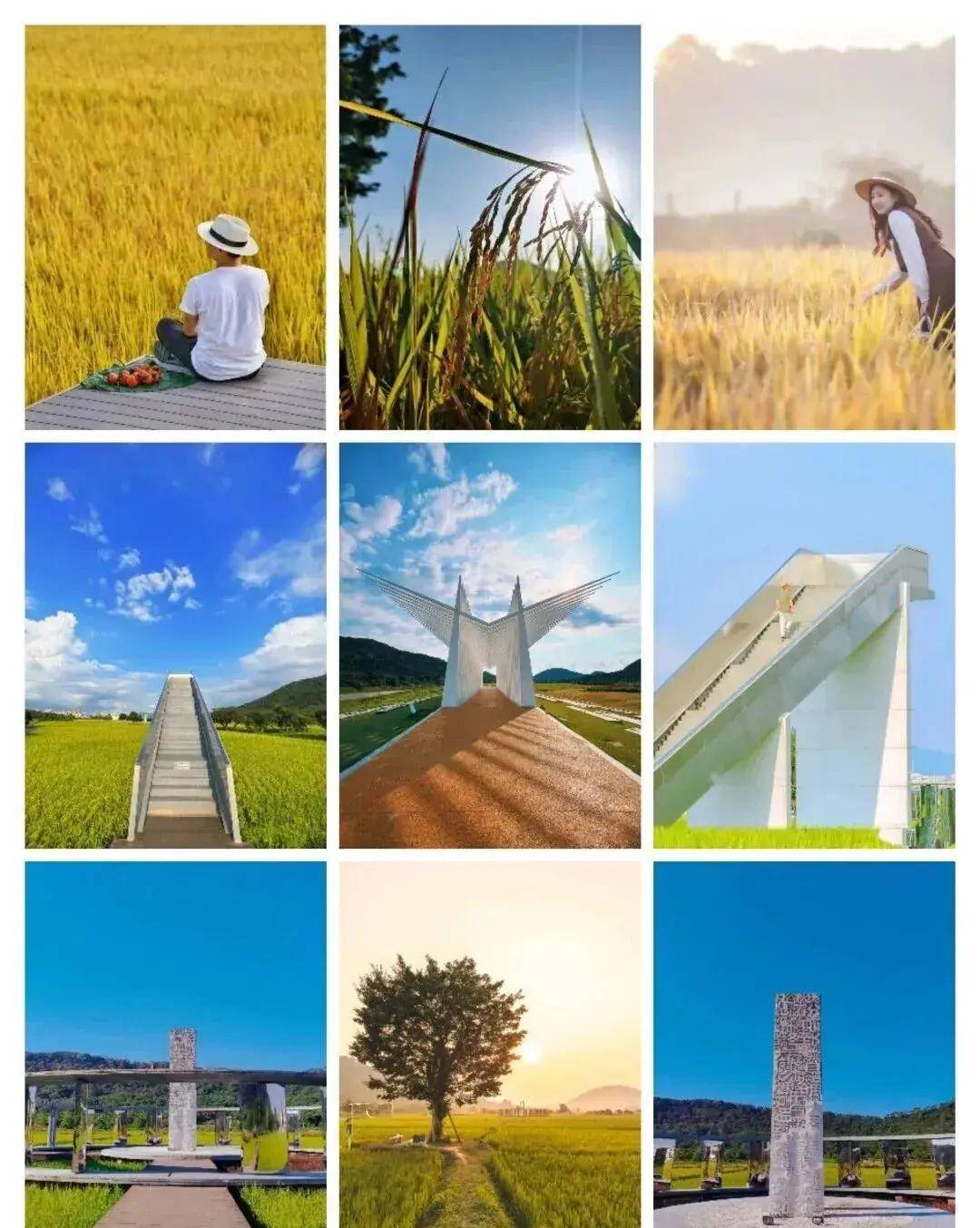 【广州三大秋色】11月15日丨上罗千亩柿子海+艾米稻香小镇+罗洞工匠小镇