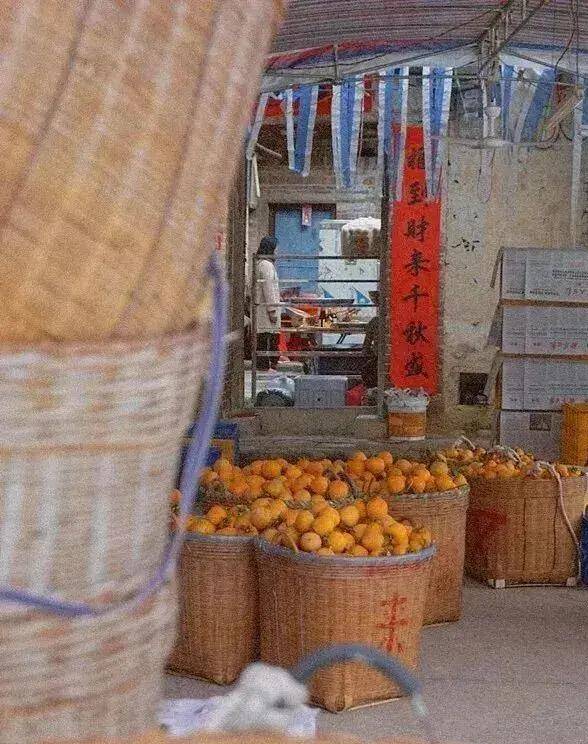 【广州三大秋色】11月15日丨上罗千亩柿子海+艾米稻香小镇+罗洞工匠小镇