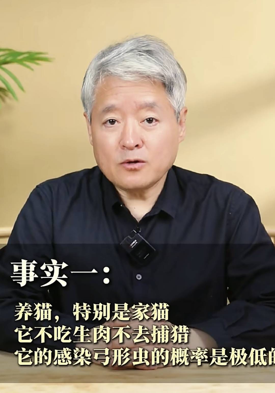 社区医生：怀孕别养猫了,二手烟反倒没事！孕妇无语了