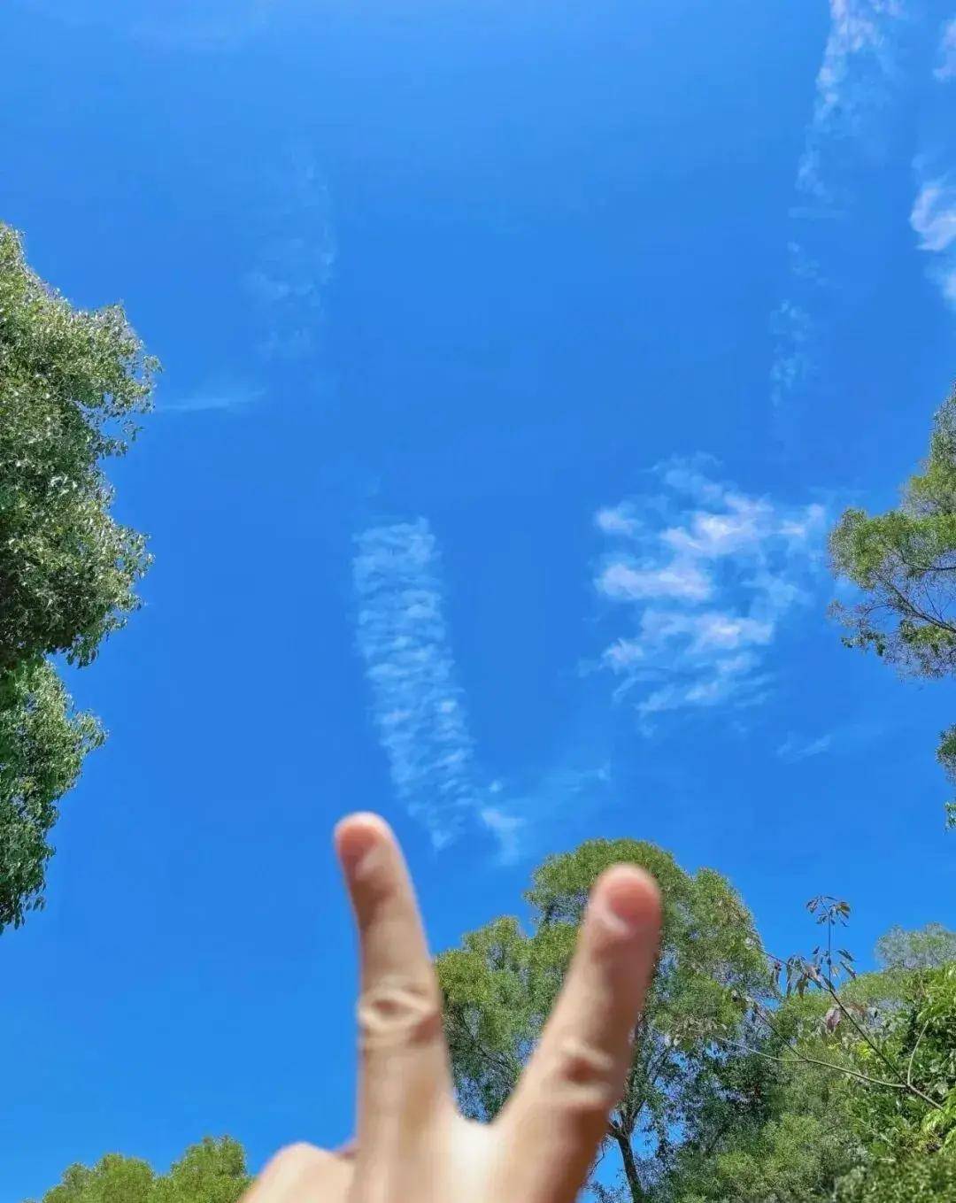 【澳门徒步】11.02周日丨徒步澳门后花园,发现澳门的另一面,澳门山海环线徒步