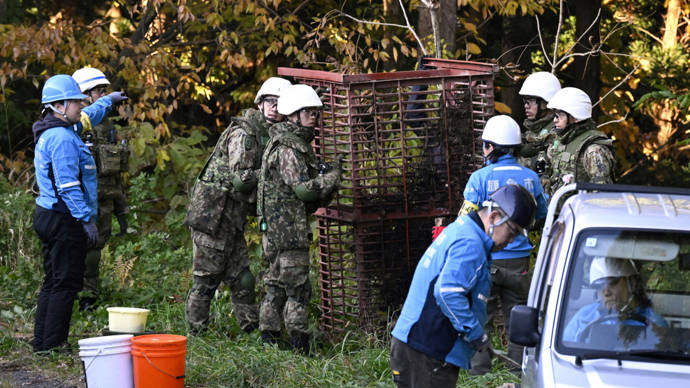 “熊杀人”创纪录，日本红叶季旅游业受创-华闻时空
