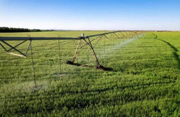 国际奥委会主席为什么点赞中国蒙牛-锋巢网