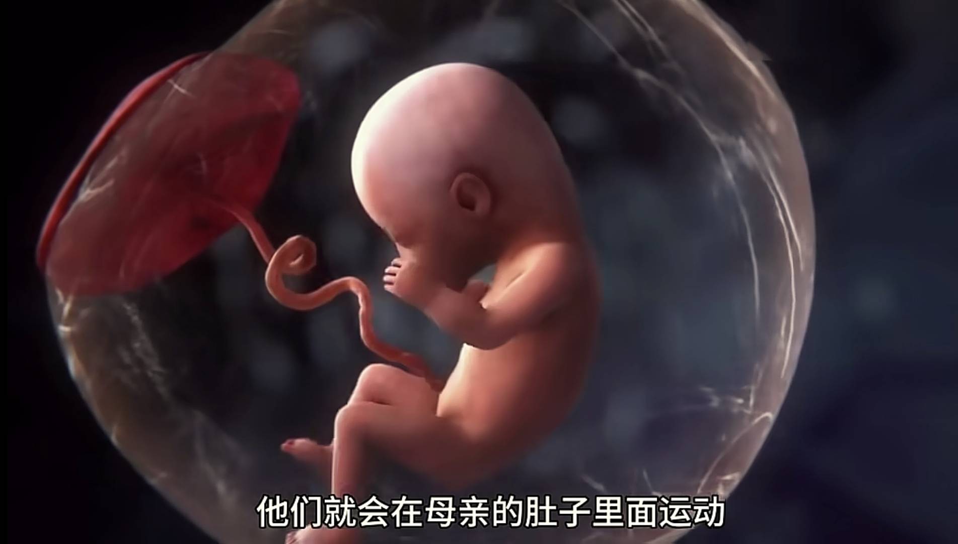 宝宝在妈妈肚子里会无聊吗？一组图告诉你胎宝在子宫里很欢乐