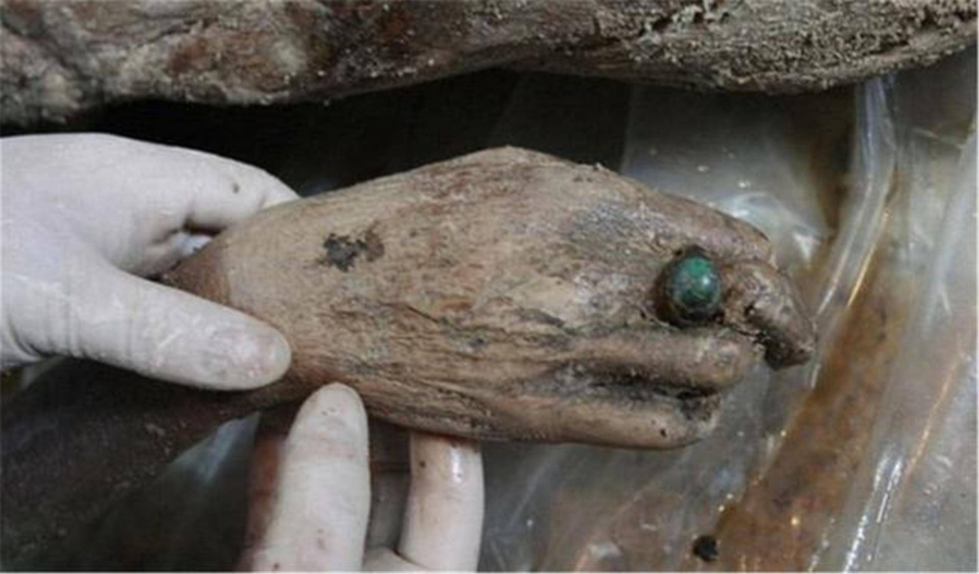 古墓中挖出不腐女尸,手上戴着绿宝石,专家看清后直呼:绝世美女