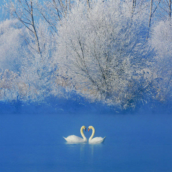 天山河谷·美哉伊犁丨8折优惠邀您住进雪原里的春天！