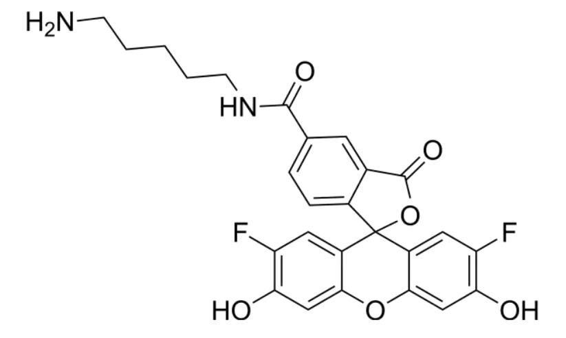 isomer中文名称:5-二氟羧基荧光素-尸胺