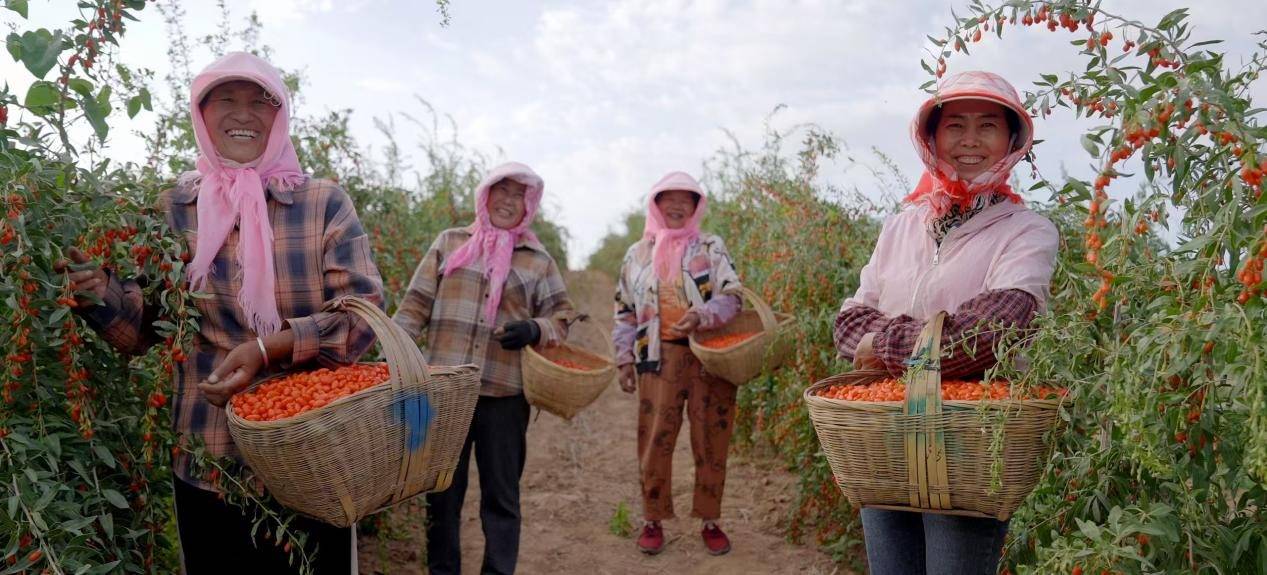 《践行ESG理念,容声冰箱“寻鲜之旅”助农活动入选社会责任实践成果》