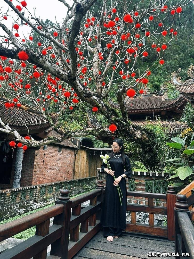 越南下龙湾河内芽庄等五日游报团福利来袭吃住行门票全搞定，越南五日游省钱避坑_搜狐网