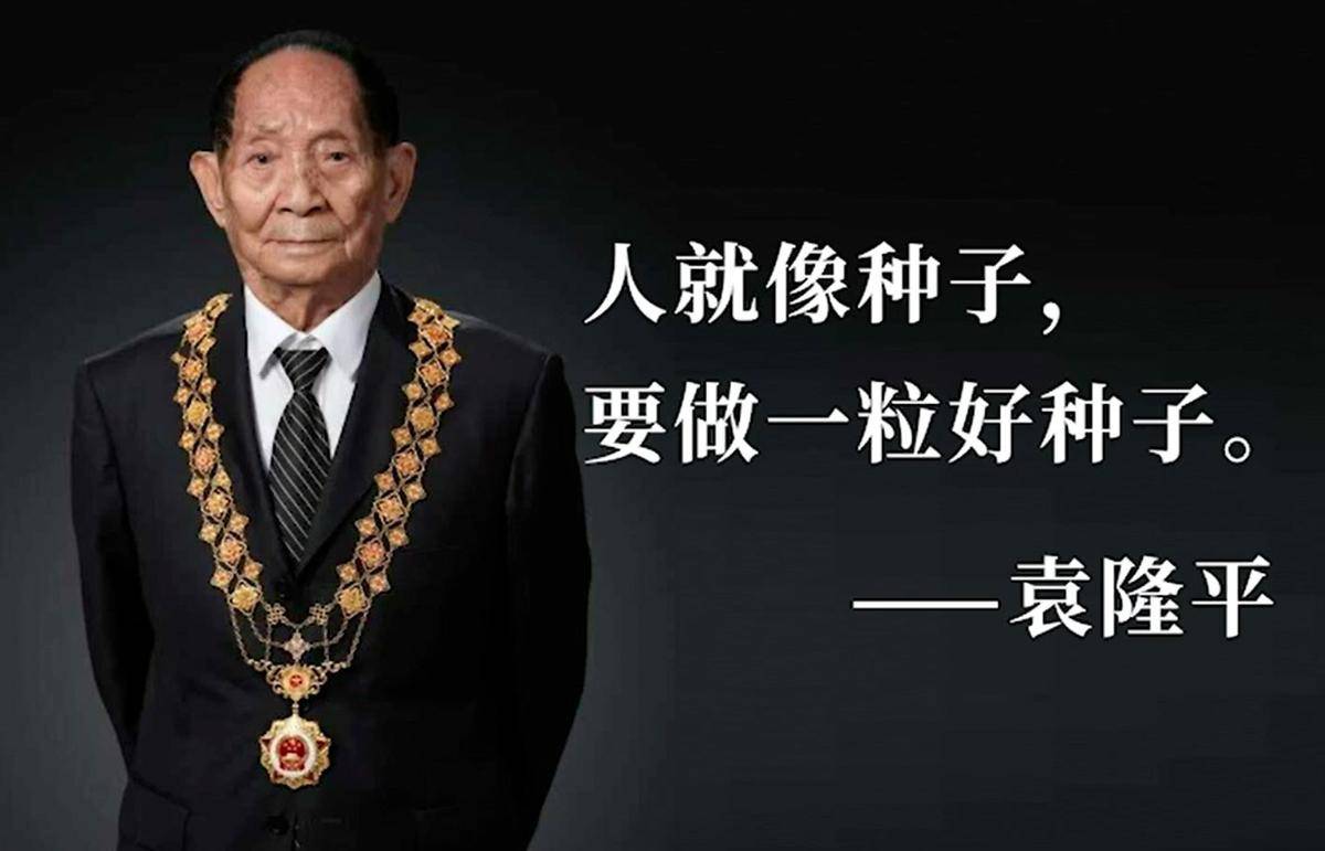 先生之风山高稻长,袁隆平的多面人生:除了关心水稻,还拉小提琴