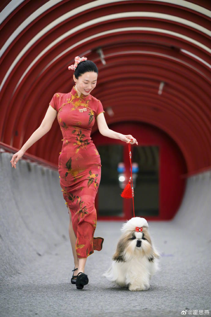 霍思燕爱犬在国际比赛夺冠，杜江发文：开心疯了！创造历史！ 插图2