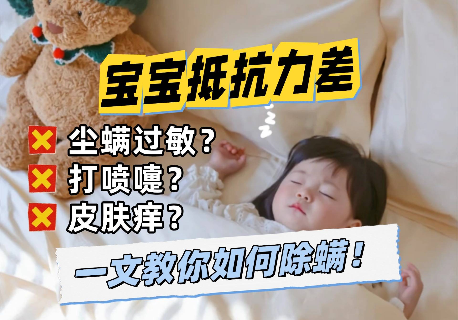 除螨仪哪个品牌最好？除螨仪哪个牌子最专业？十款实力口碑除螨仪排行，选购秘籍直接抄！