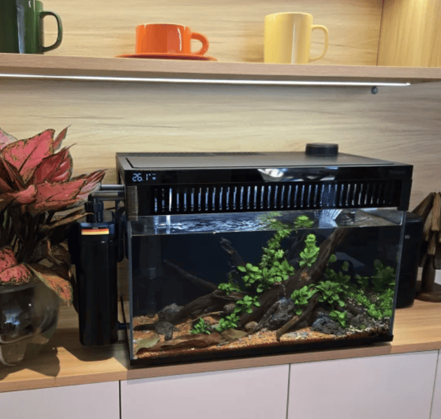 2025京东鱼缸热销数据发布:这10个家庭水族品牌口碑最好