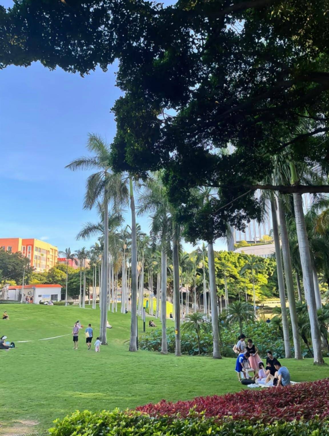 厦门思明区绝佳踏青露营地推荐椰风寨梅海岭南湖公园很不错