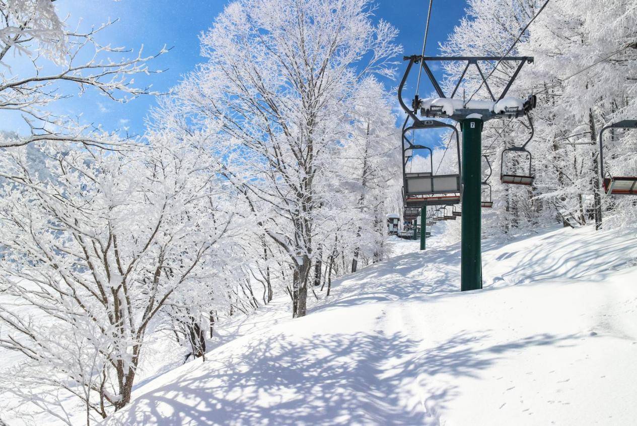 图片[4]-今年冬天，为什么越来越多人选择去韩国？ -华闻时空