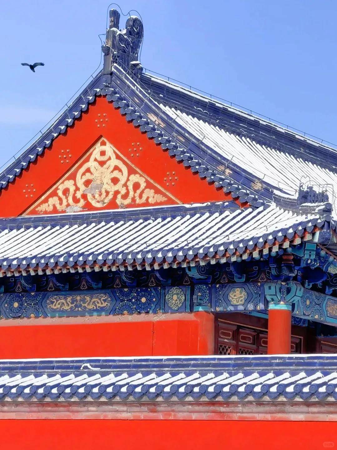 刘老师预约了下午场并选择了从东华门进入避开了旅行团聚集的午门长