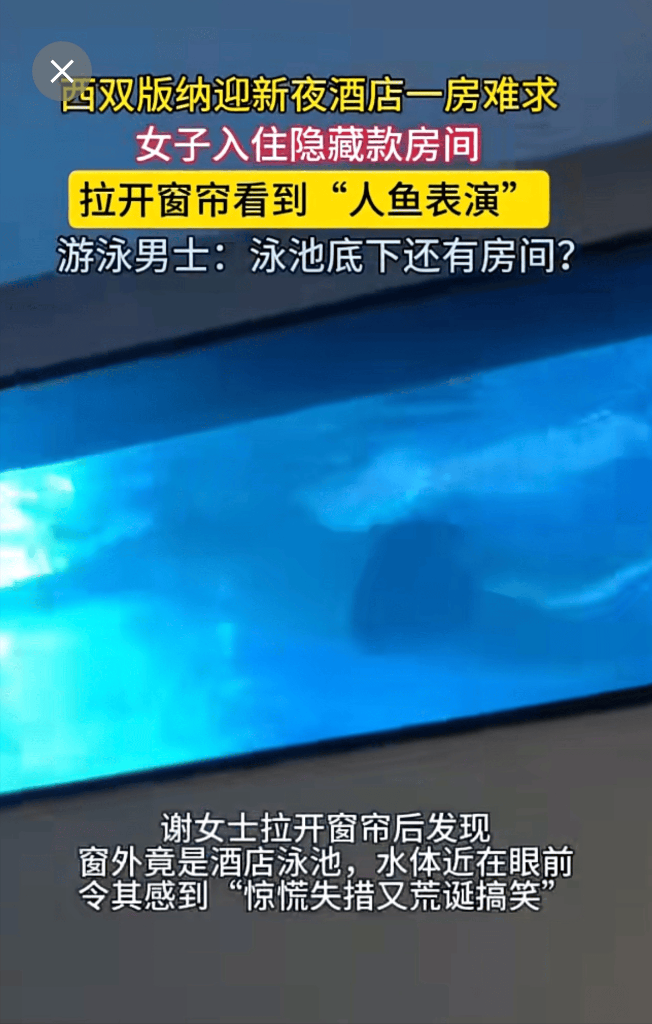 女子酒店房间拉开窗帘是泳池水底,网友评论区炸锅!
