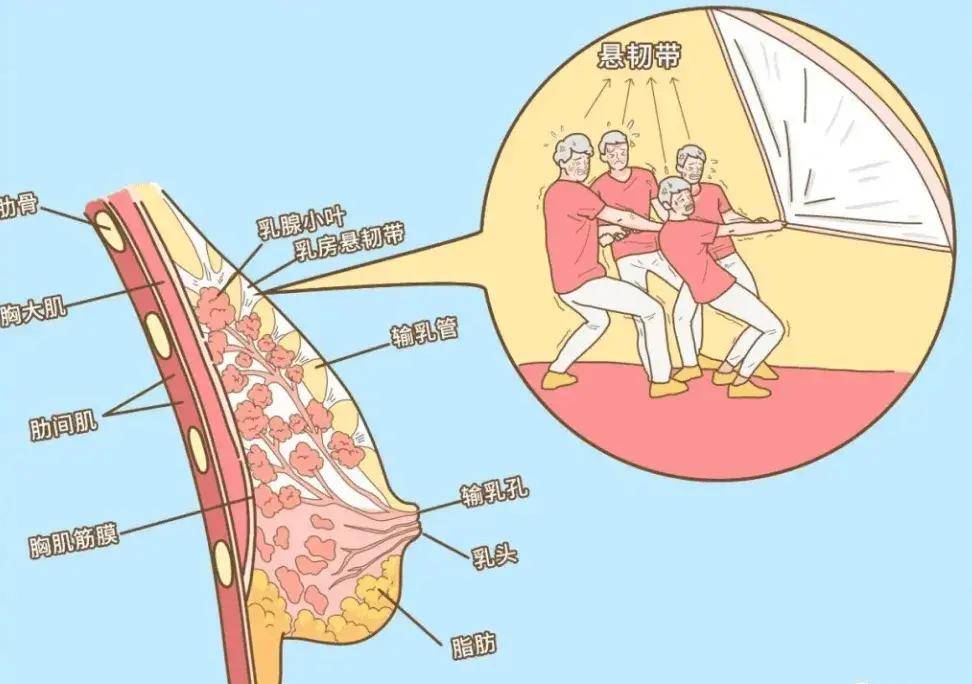 女性内衣尺码选择误区,你知道几个？