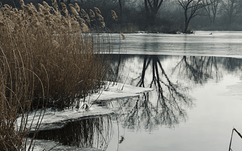 三九天养身体，这三宜三忌要做到！
