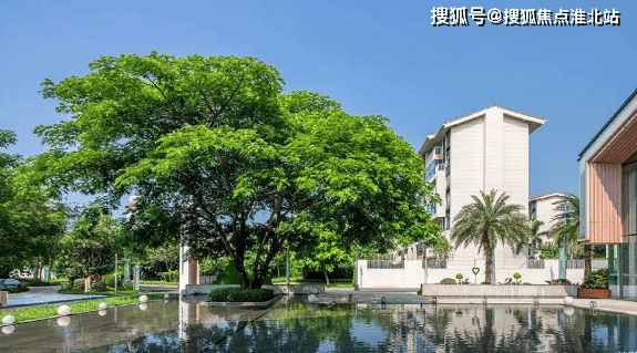 【官网】海口保利六千树的售楼处电话(海口保利六千树)首页网站·营销中心欢迎您-售楼处地址-楼盘解析-开盘时间-价格详情@2026~01~31 ...