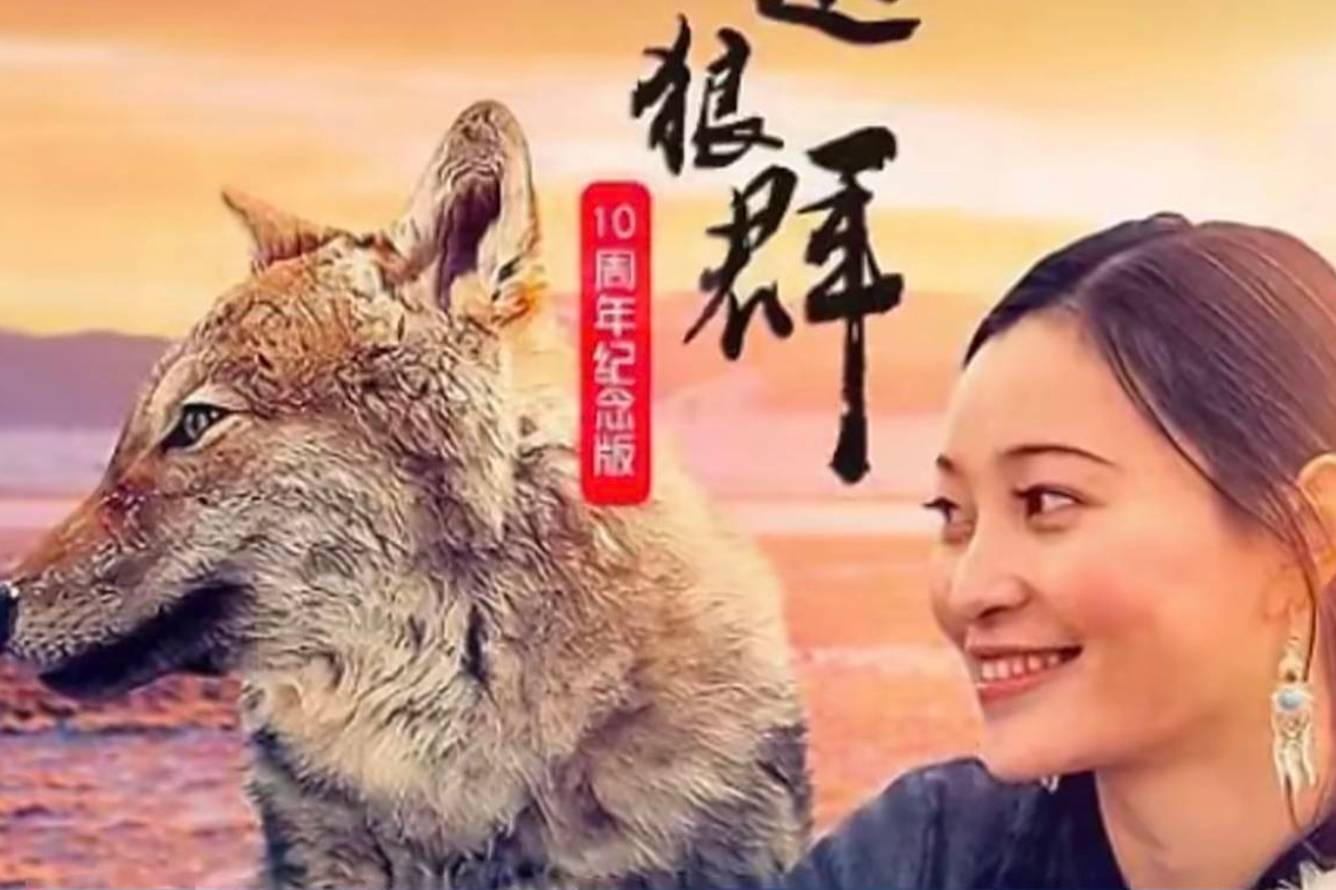 李微漪被欠641万稿费:狼妈陪格林荒野求生,却陪出版社打官司_狼群_版税_网友