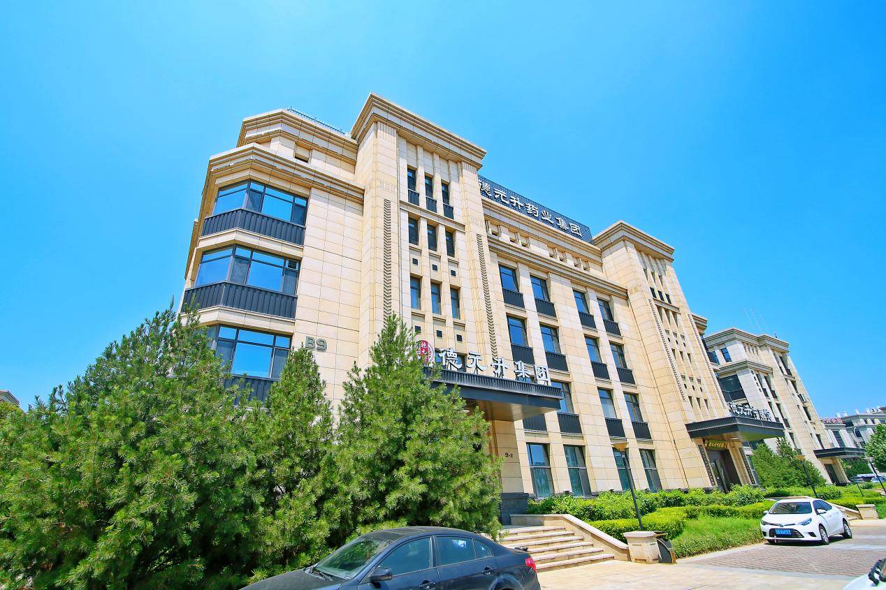 德元升集团以红色引擎驱动高质量发展