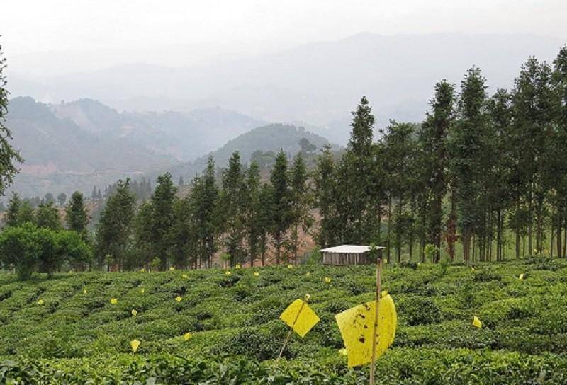 原创            中国名字最长的县，至今不通高速公路和铁路，百姓却富裕又幸福