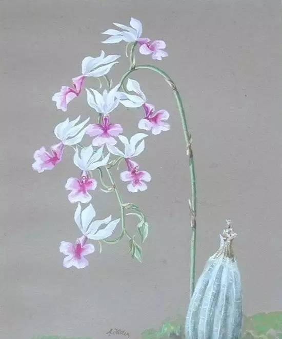 希特勒曾经梦想是画家？一幅油画130万，网友：被战争耽误的画家