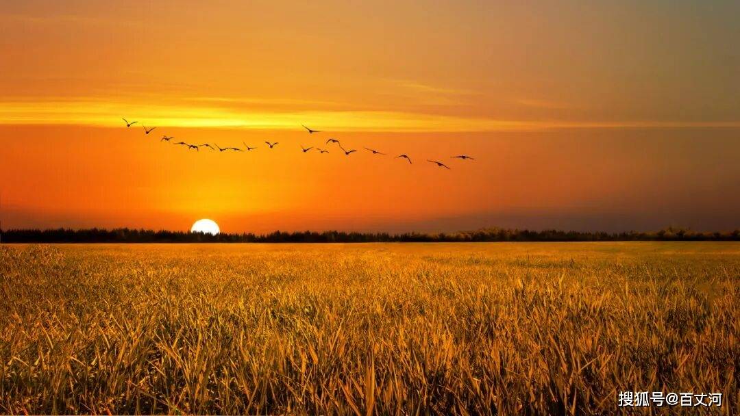 年少不知诗中意，读懂已是雪满头