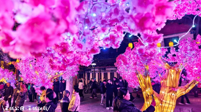 2026全国元宵灯会人气榜单TOP10厦门园博苑灯会跻身全国前三(图13) 2026全国元宵灯会人气榜单TOP10厦门园博苑灯会跻身全国前三(图13)