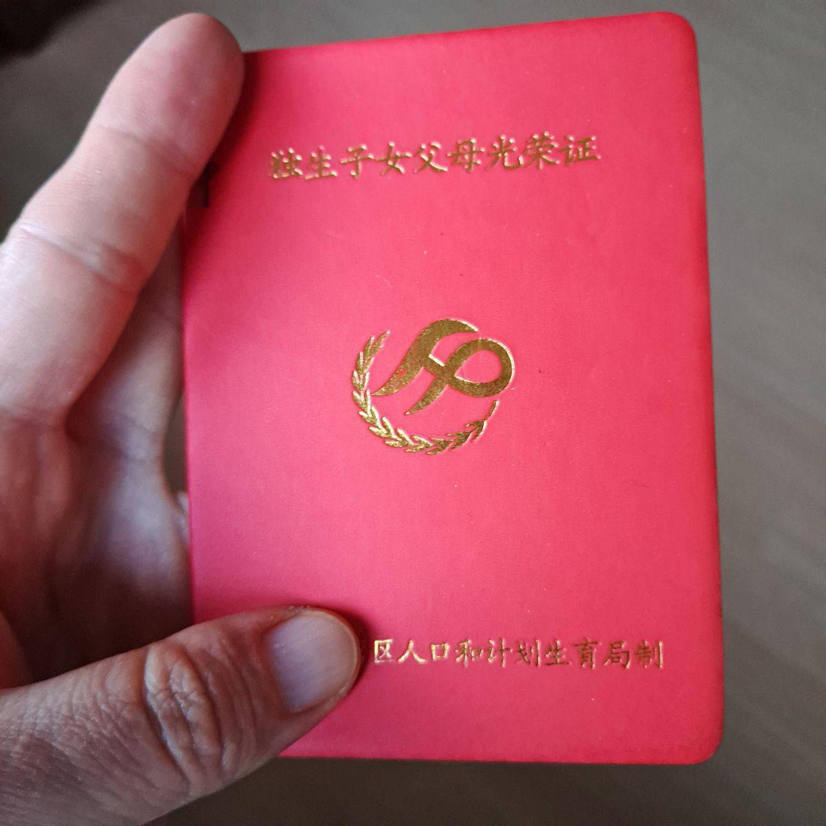 独生子女家庭有福了!2026年可申领这几大补贴,还可享受两大福利