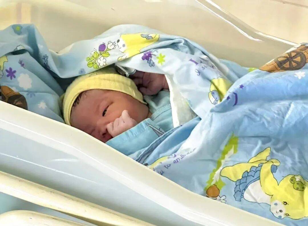 2026几月马最有福气？对比了一下,差距不算小