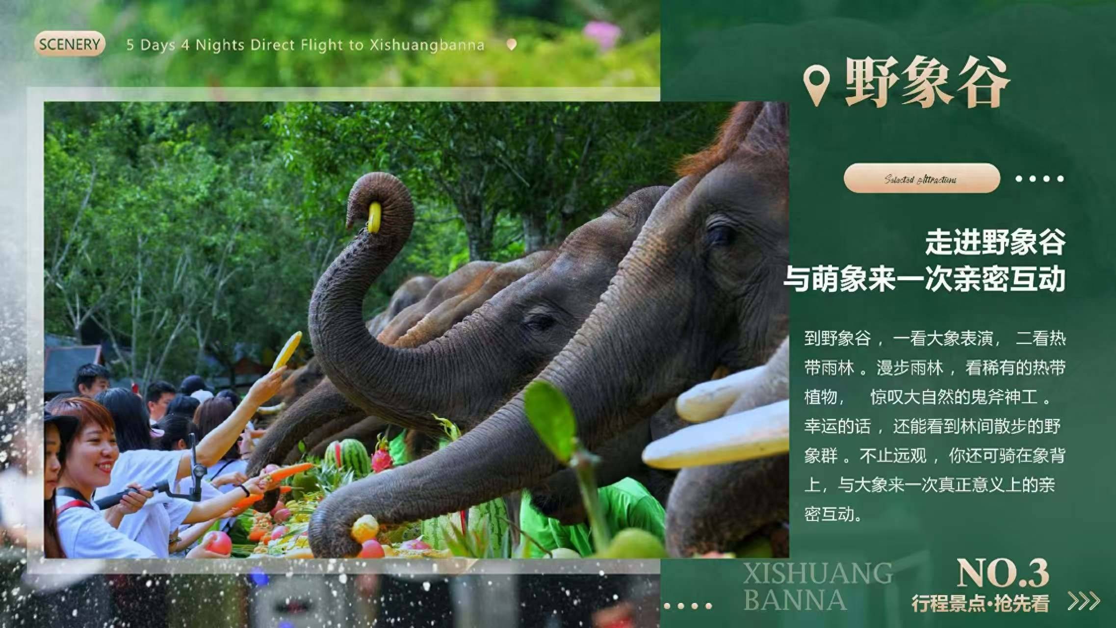 İС��2026���۴���֮�ã���ʽ��Ļ��