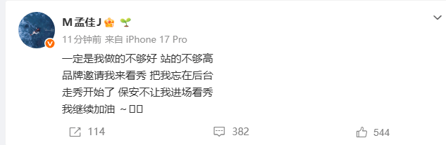孟佳发文称品牌方保安不让她看秀：一定是我做的不够好，站的不够高封面图