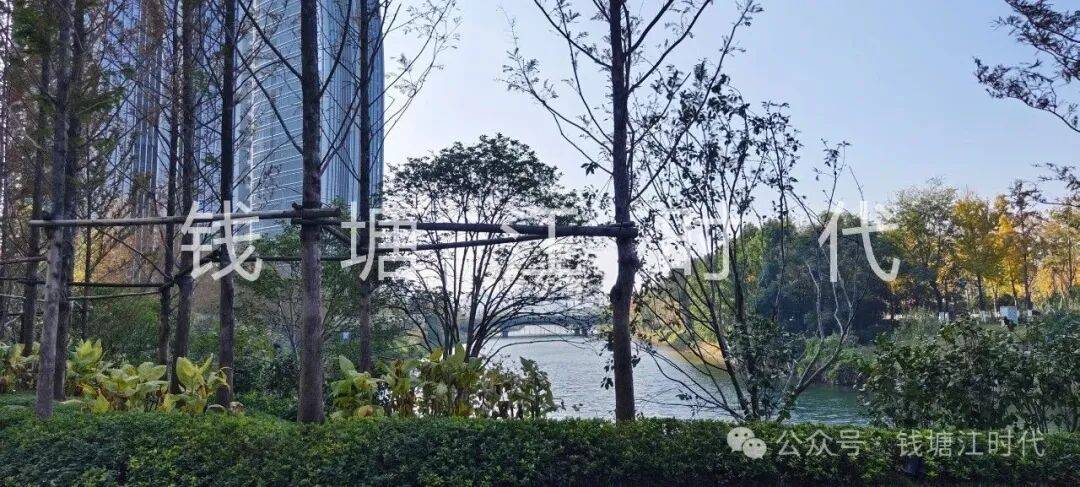 观雲钱塘城-杭州观雲钱塘城楼盘详情-杭州房天下_in_帆船_you