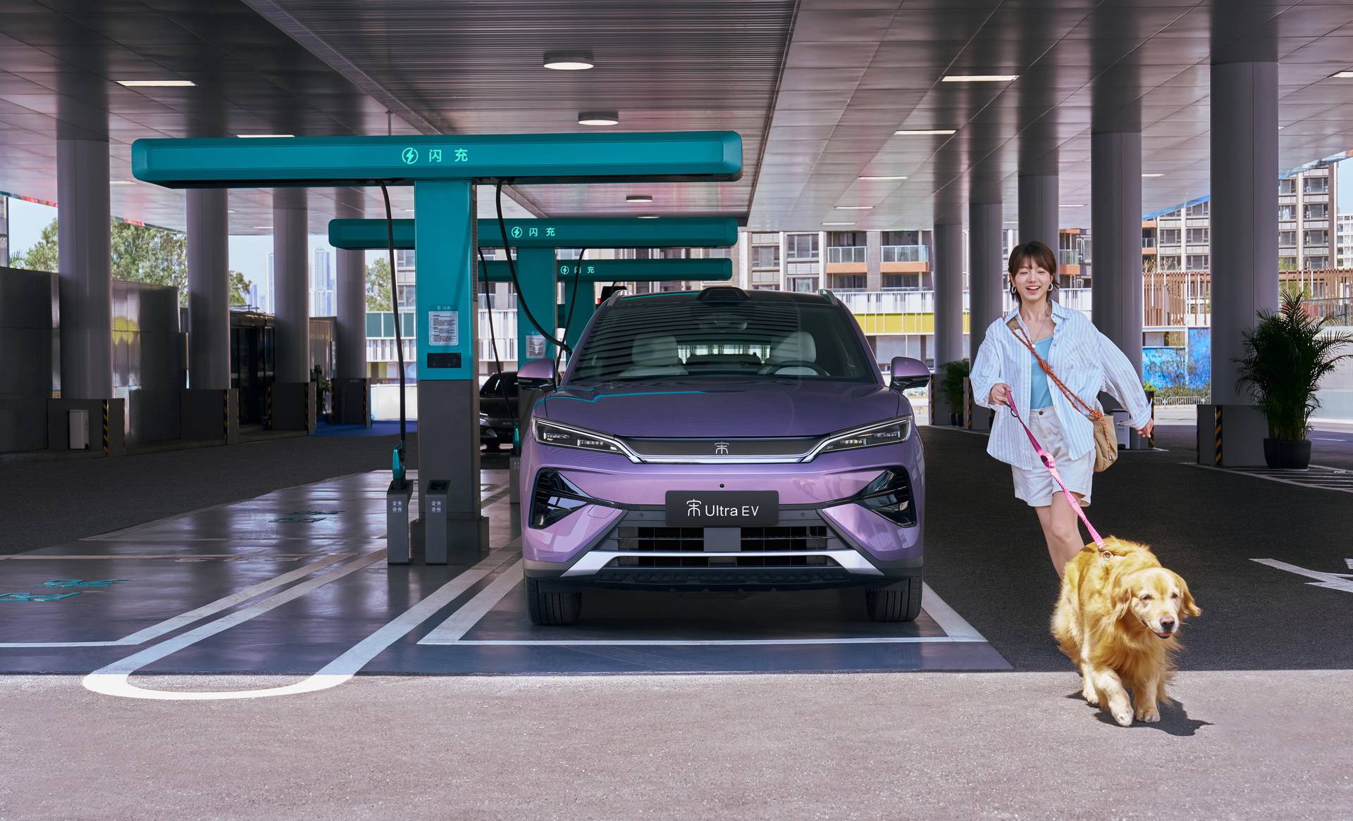 奇妙的朋友在线观看，开启自然奇旅，见证人与动物温馨互动，感受生命奇迹与和谐共生之美。