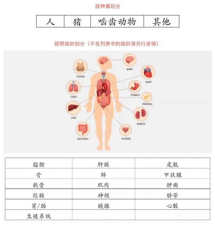 Nordmark胶原酶应用分类